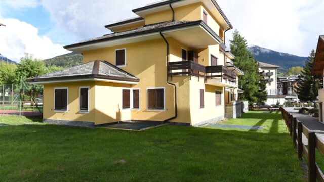 cristal-1